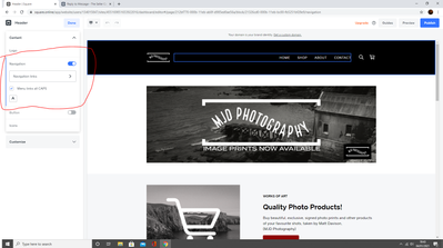 MJDPhotography_1-1609785834858.png
