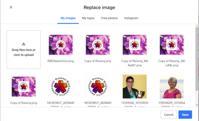napolo_0-1613921831505.png