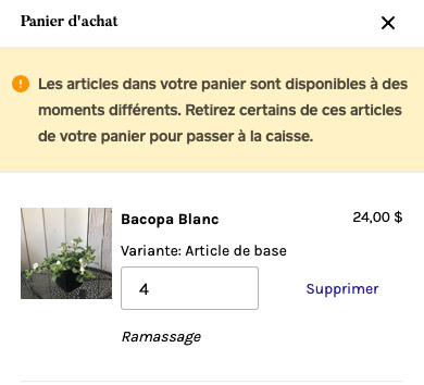 Capture d’écran, le 2021-03-18 à 13.09.25.png