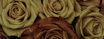 Good for all screen sizes because it will look great no matter how you crop it.