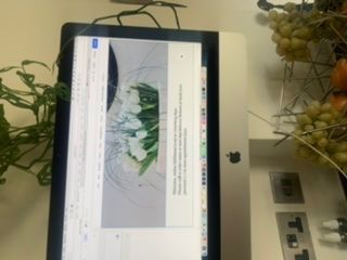 Weebly online in safari