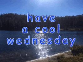 giphy (9).gif