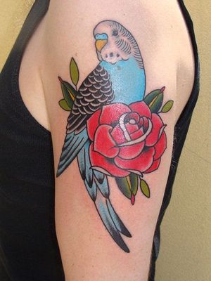 Budgie tattoo.jpg