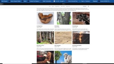 stories page in editor