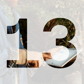 13graphic 85.gif