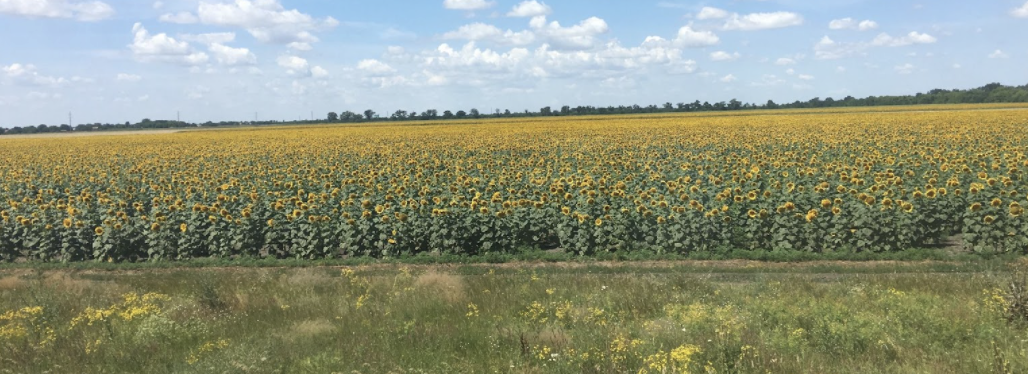 Screen Shot 2022-03-10 at 3.22.41 PM.png