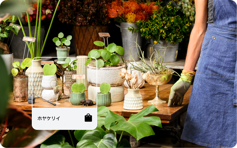 JP HeroImage-Plants.png JP HeroImage-Plants.png