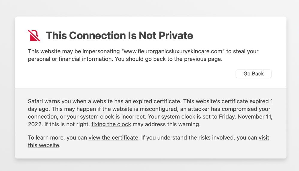 Screenshot 2022-11-11 at 2.51.37 PM.png