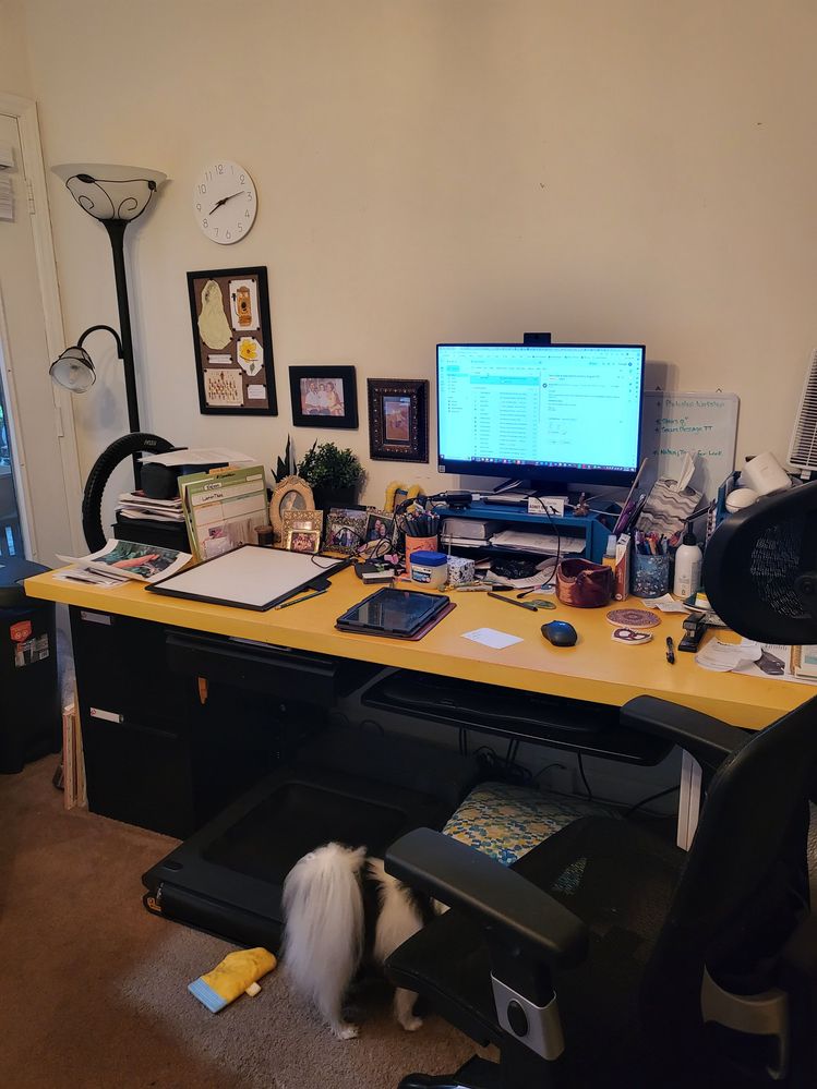 20230804_081418.jpg