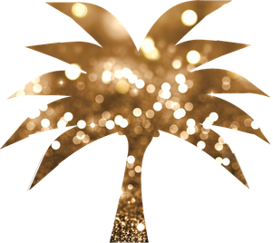 Bronze Palms - Rapid & Mobile Spray Tanning logo.png