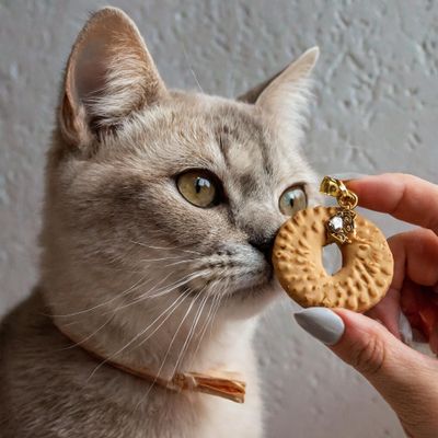 Firefly Show a photo of a cat earring a biscuit 84891.jpeg