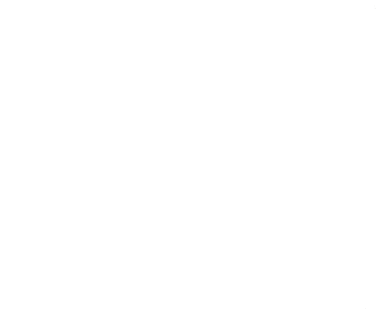 AmandaL_1-1709002368750.gif