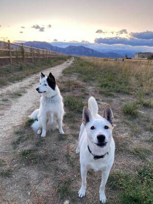 Tully and her sister Marshmallow