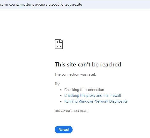 Error Chrome Michelle.jpg