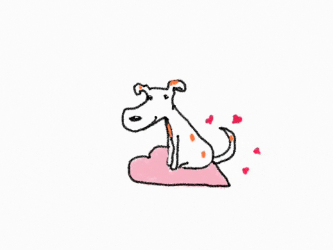 giphy (4).gif