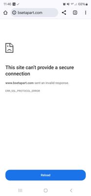 Resized_Screenshot_20250313_114612_Chrome_1741880832015.jpeg