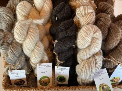 PEI Icelandic Lamb's Wool