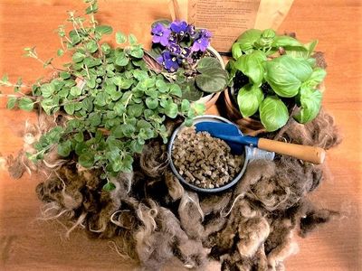 Wool Pellets for your Garden