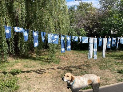 indigo-dyed shibori experiments