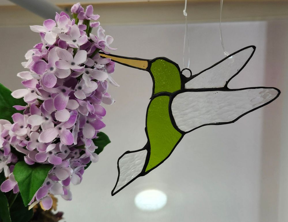 Stocking up on hummingbirds.