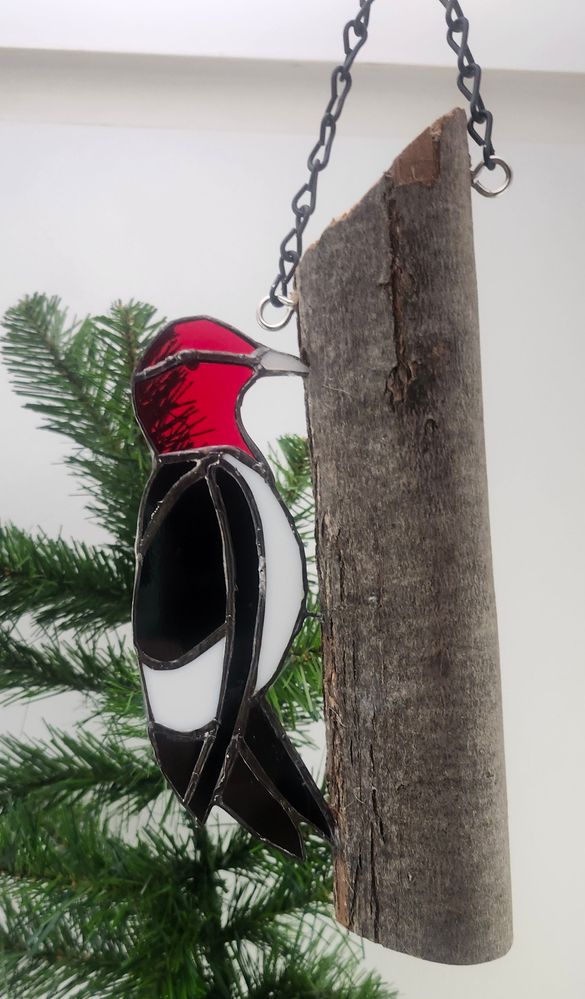 Redheaded Woodpecker pecking on wood.