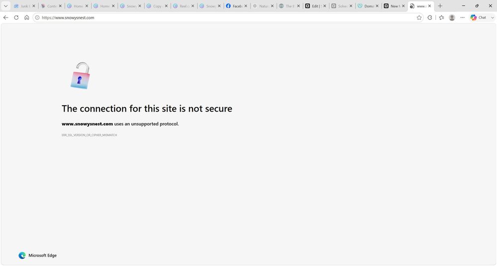 DNS Error.jpg