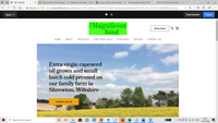 My logo has gone green in editor and preview  - image file itself is unaffected.
