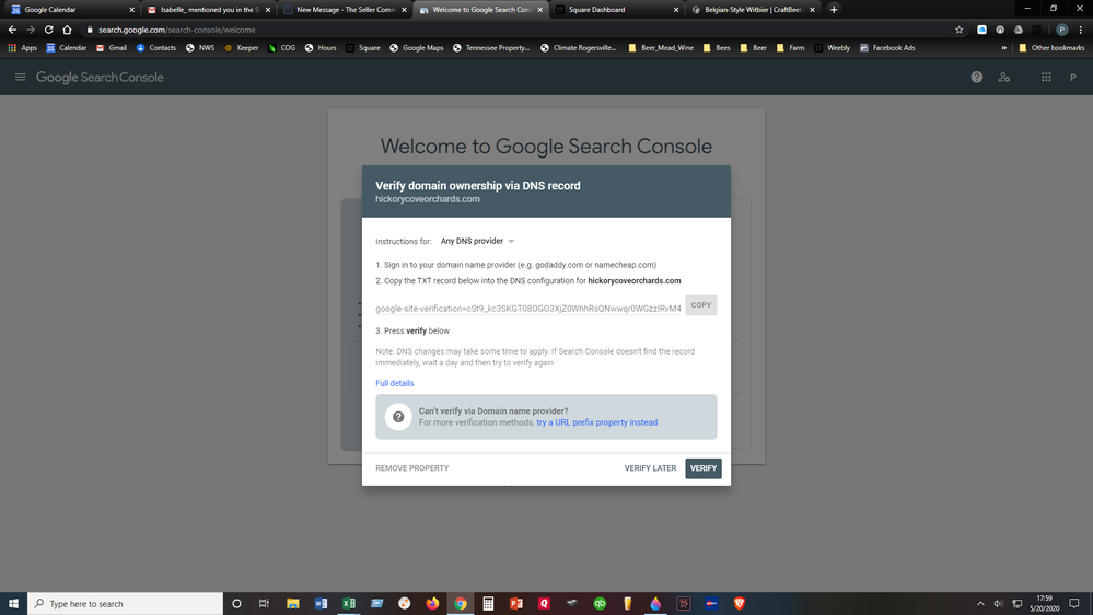 DNS Verification