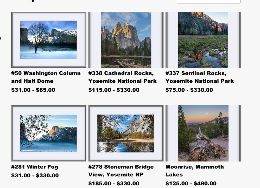 2020-05-26_What I see on my site.png