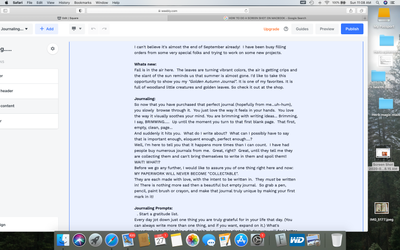 Screen Shot 2020-09-27 at 11.08.50 AM.png