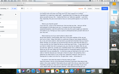 Screen Shot 2020-09-27 at 11.08.59 AM.png